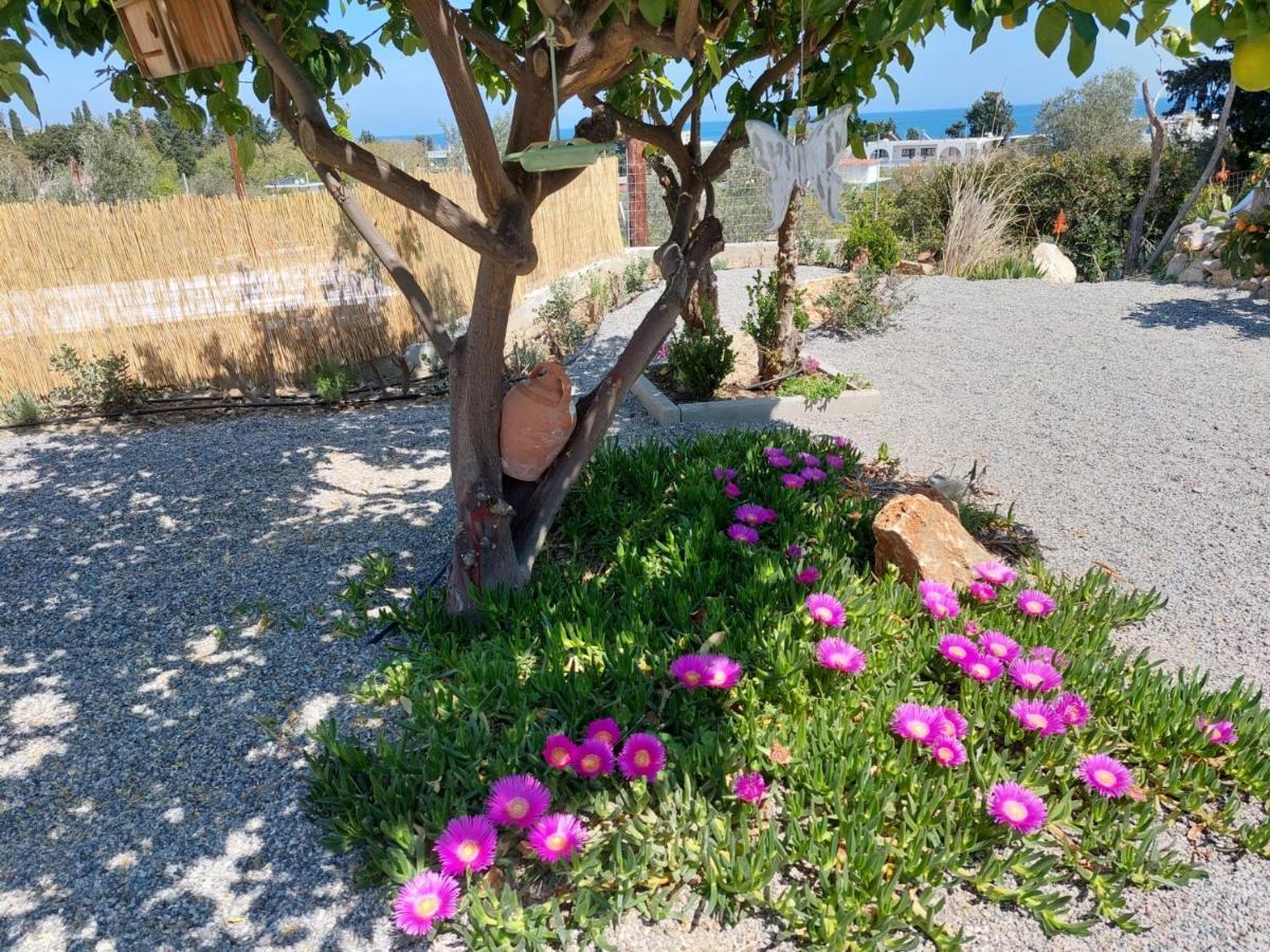 Ktima Natura Archangelos  Luaran gambar